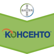 Консенто ЗАБРАНЕН ПРЗ